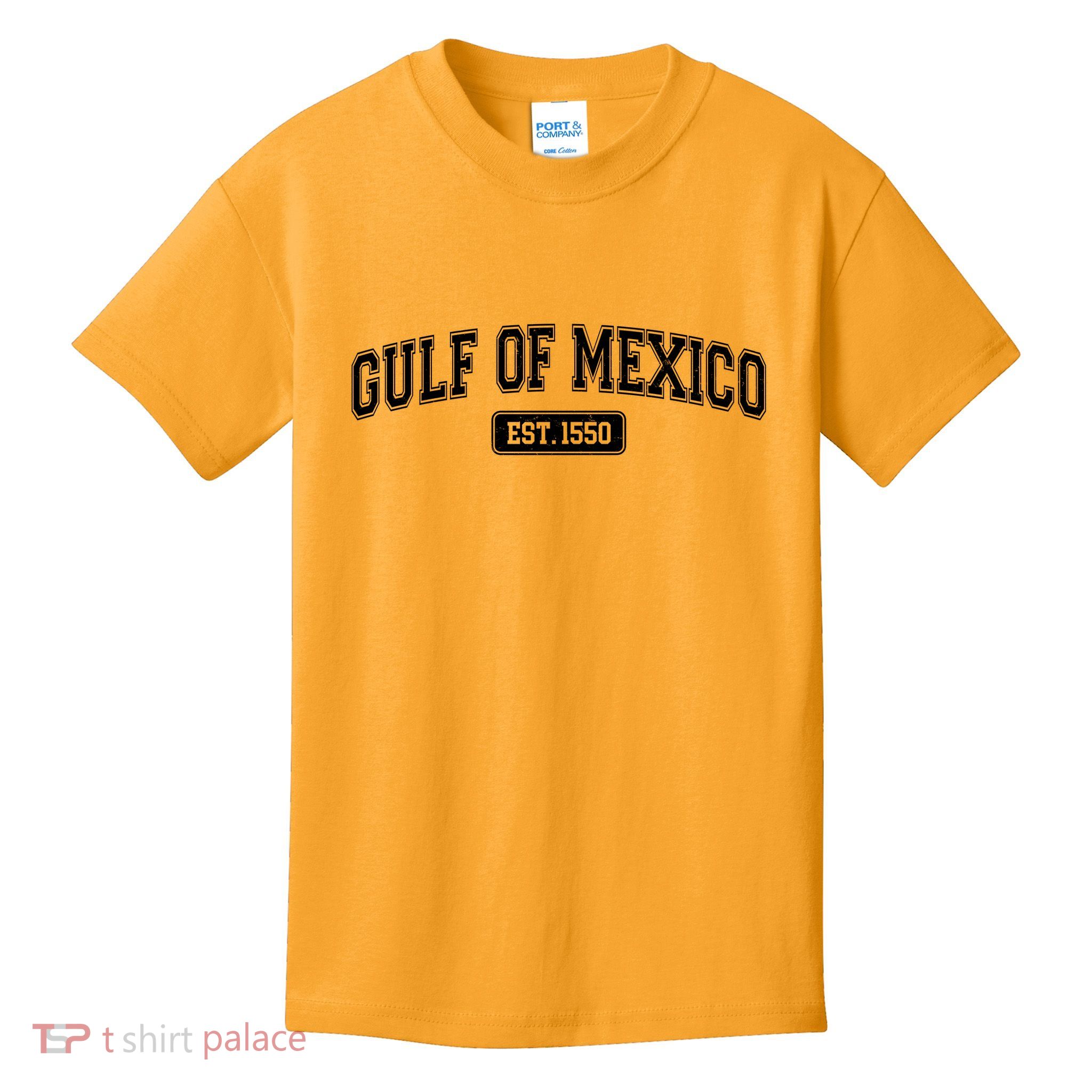 Sporty Varsity Style Gulf of Mexico EST 1550 Kids T-Shirt
