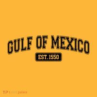 Sporty Varsity Style Gulf of Mexico EST 1550 Kids T-Shirt