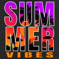 Summer Vibes Adult Drive Performance Visor