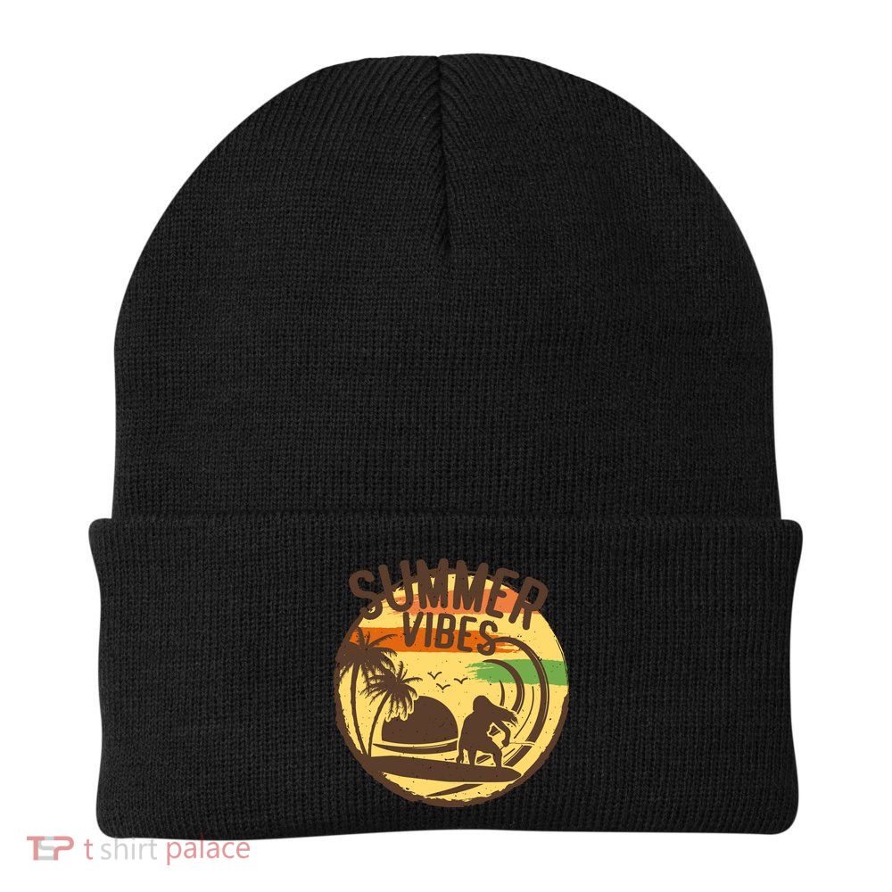 Surfing Vintage Summer Vibes Surfing Palm Beach Gift Beanie