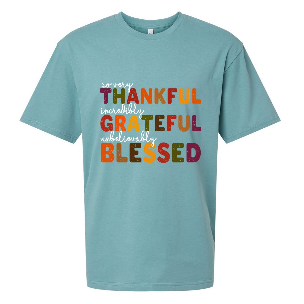 So Very Thankful Incredibly Grateful Unbelievably Blessed Sueded Cloud Jersey T-Shirt