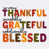So Very Thankful Incredibly Grateful Unbelievably Blessed Premium T-Shirt
