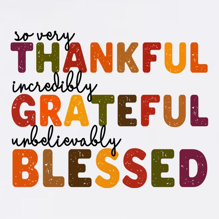 So Very Thankful Incredibly Grateful Unbelievably Blessed Premium T-Shirt