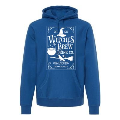 Salem Witch 1692 Witches Brew Funny Witchy Halloween Great Gift Premium Hoodie