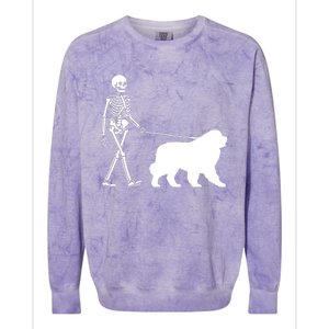 Skeleton Walking A Newfoundland Dog Halloween Outfit Colorblast Crewneck Sweatshirt