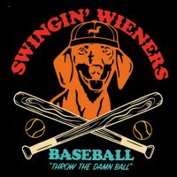 Swingin Wieners Baseball Throw The Damn Ball Pom Pom 12in Knit Beanie