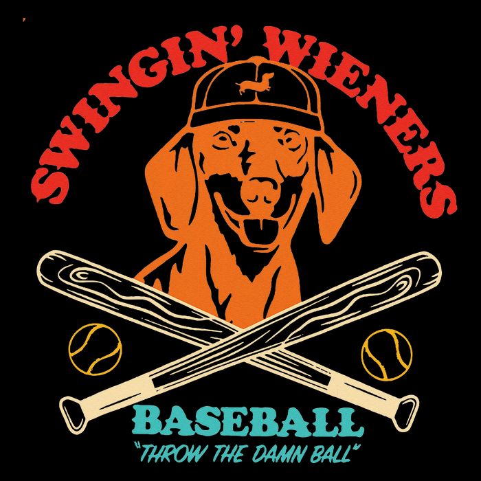Swingin Wieners Baseball Throw The Damn Ball Pom Pom 12in Knit Beanie