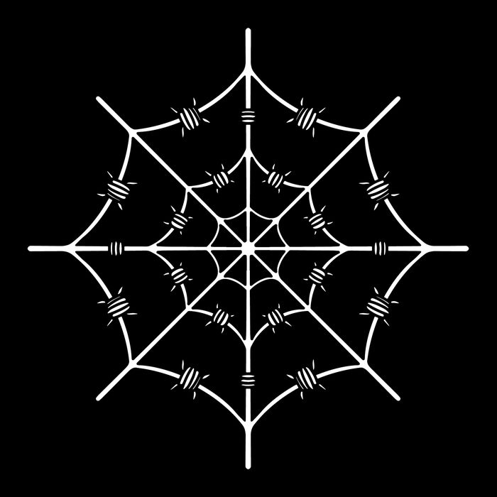 Spider Web Barbed Wire Poster