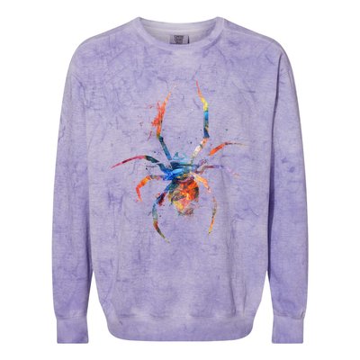 Spider Web Cobweb Arachnid Entomology Cute Gift Arachnologist Funny Gift Colorblast Crewneck Sweatshirt