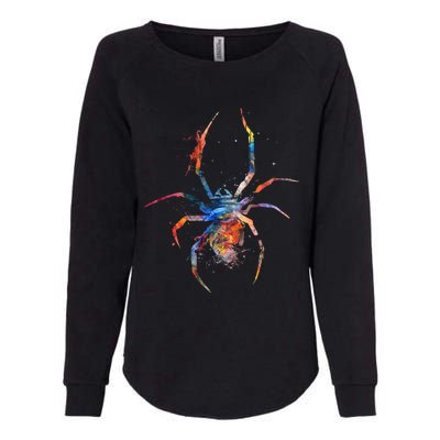 Spider Web Cobweb Arachnid Entomology Cute Gift Arachnologist Funny Gift Womens California Wash Sweatshirt