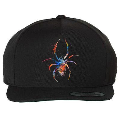 Spider Web Cobweb Arachnid Entomology Cute Gift Arachnologist Funny Gift Wool Snapback Cap