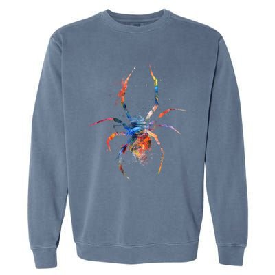 Spider Web Cobweb Arachnid Entomology Cute Gift Arachnologist Funny Gift Garment-Dyed Sweatshirt