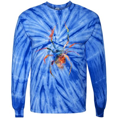 Spider Web Cobweb Arachnid Entomology Cute Gift Arachnologist Funny Gift Tie-Dye Long Sleeve Shirt