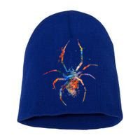 Spider Web Cobweb Arachnid Entomology Cute Gift Arachnologist Funny Gift Short Acrylic Beanie