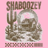 Shaboozey Western Desert T-Shirt
