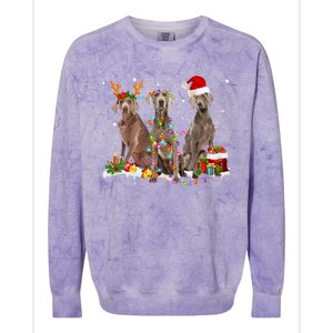 Santa Weimaraner Dog Gorgeous Reindeer Christmas Pajama Great Gift Colorblast Crewneck Sweatshirt