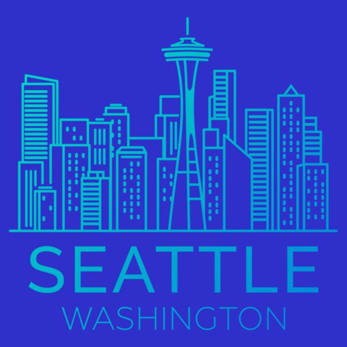 Seattle Washington Downtown Skyline Funny Gift Souvenir Funny Gift Toddler Hoodie