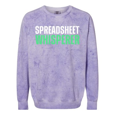 Spreadsheet Whisperer Expert Financial Advisor Gift Colorblast Crewneck Sweatshirt