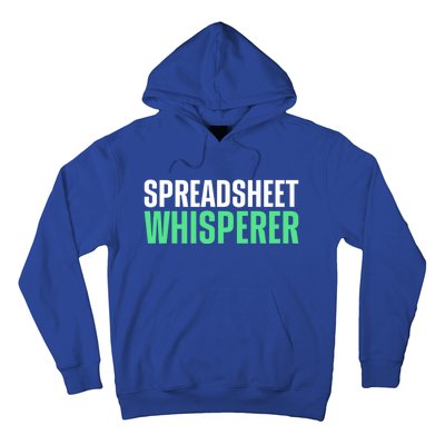 Spreadsheet Whisperer Expert Financial Advisor Gift Hoodie