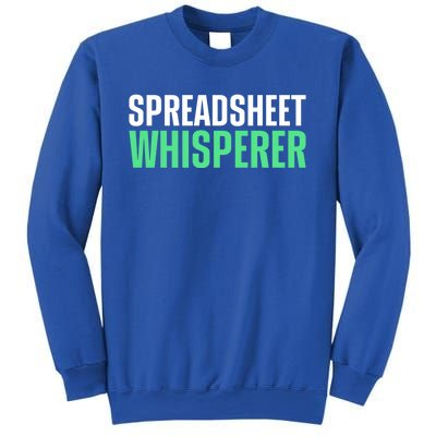 Spreadsheet Whisperer Expert Financial Advisor Gift Sweatshirt