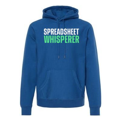 Spreadsheet Whisperer Expert Financial Advisor Gift Premium Hoodie