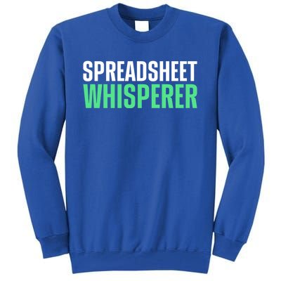 Spreadsheet Whisperer Expert Financial Advisor Gift Tall Sweatshirt