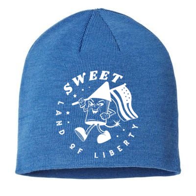 Sweet Land Of Liberty Firework Sustainable Beanie