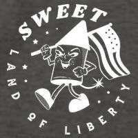 Sweet Land Of Liberty Firework Vector Backpack
