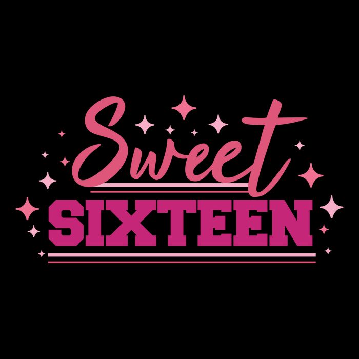 Sweet Sixteen Apron