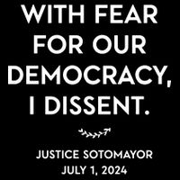 Scotus With Fear For Our Democracy Dissent T-Shirt