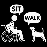 Sit Walk Funny Disabled Wheelchair User & Pet Dog Pom Pom 12in Knit Beanie