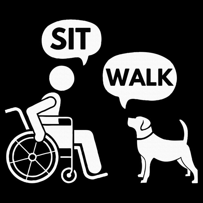 Sit Walk Funny Disabled Wheelchair User & Pet Dog Pom Pom 12in Knit Beanie