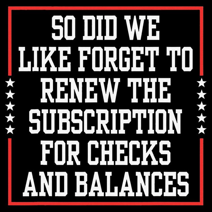 So We Forget To Renew Subscription For Checks Balances Full-Length Apron With Pockets