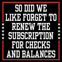 So We Forget To Renew Subscription For Checks Balances 7-Panel Snapback Hat