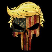 Skull With Iconic Trump Hair American Flag 16 in Basic Backpack