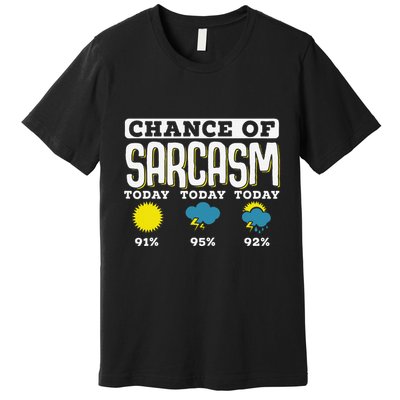So When Is This Old Enough To Know Better To Kick In Premium T-Shirt