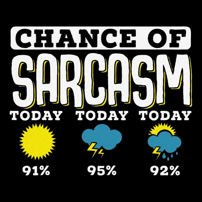 So When Is This Old Enough To Know Better To Kick In Premium T-Shirt