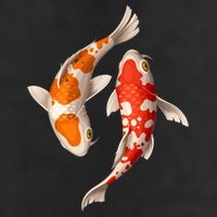 Swimming Koi Fishes Trucker Hat