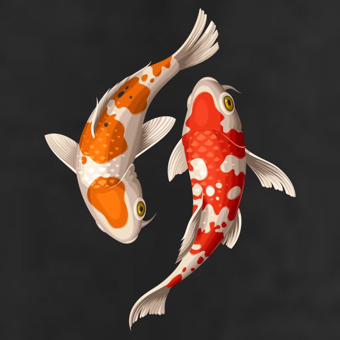 Swimming Koi Fishes Trucker Hat