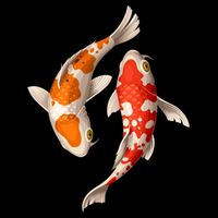Swimming Koi Fishes Zip Tote Bag
