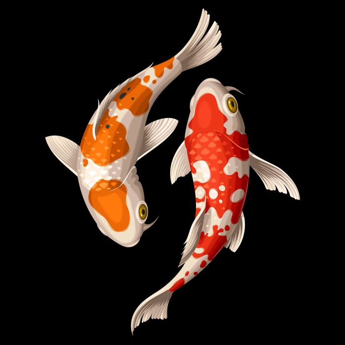 Swimming Koi Fishes Zip Tote Bag