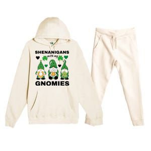 Shenanigans With My Gnomies St.Patrick Day Cute Gift Premium Hooded Sweatsuit Set