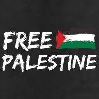 Stand With Palestine Free Palestine Adult Drive Performance Visor