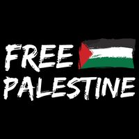 Stand With Palestine Free Palestine Wool Snapback Cap