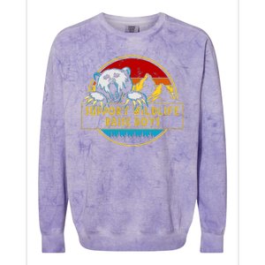 Support Wildlife Rasie Boys Colorblast Crewneck Sweatshirt