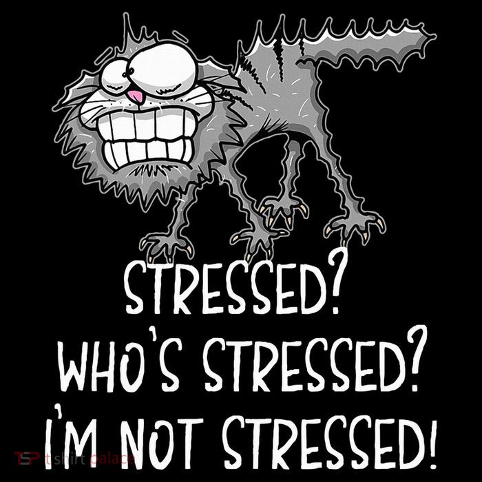 Stressed WhoS Stressed IM Not Stressed Funny Cat Mousepad