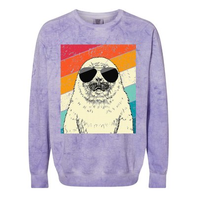 Seal With Sunglasses Animal Lovers Colorblast Crewneck Sweatshirt