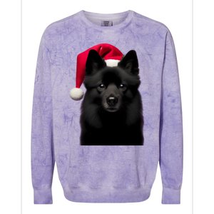 Schipperke With Santa Hat Christmas Dog Owner Lover Xmas Mom Gift Colorblast Crewneck Sweatshirt