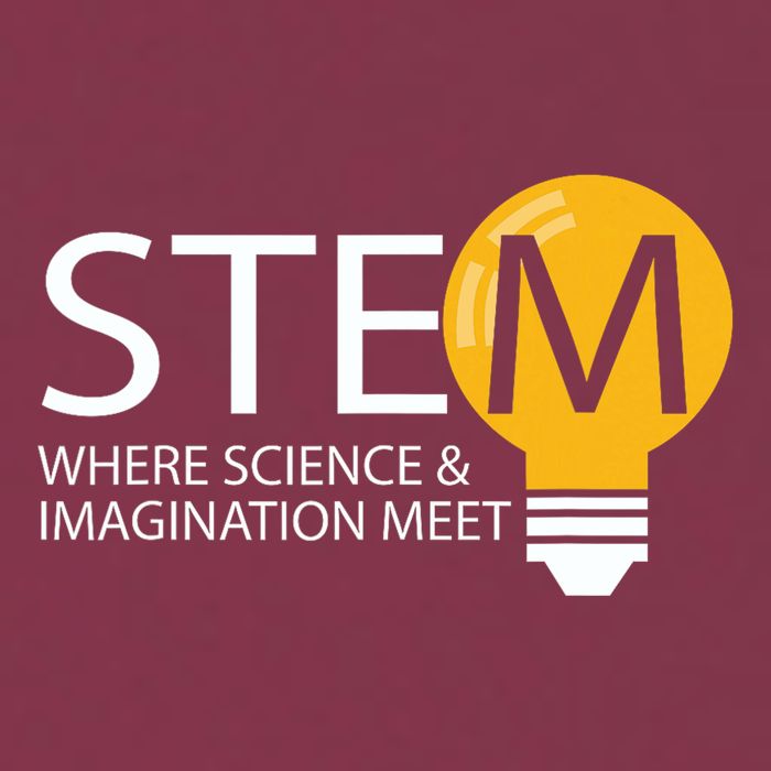 Stem Where Science & Imagination Meet Funny 16oz Travel Tumbler