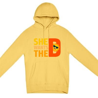 She Wants The Vitamin D Sun Tanning Sun Retro Vitamin D Gift Premium Pullover Hoodie